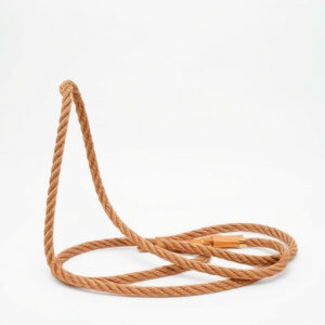 horse-lead-rope-640x480-57010799.jpeg