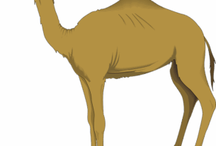 npressfetimg-1105.png