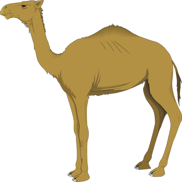 npressfetimg-1105.png