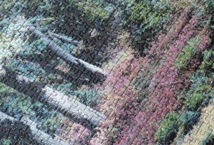 npressfetimg-1170.png