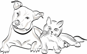 npressfetimg-1259.png