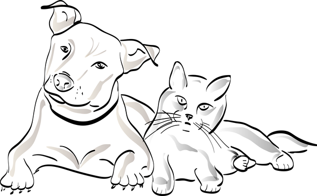 npressfetimg-1259.png