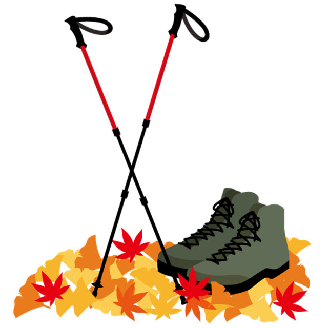 npressfetimg-42.png