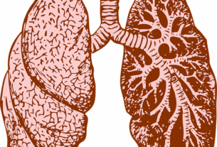 npressfetimg-497.png