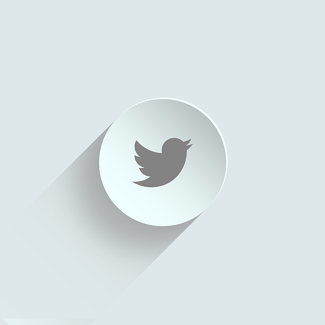 npressfetimg-500.png