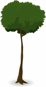 npressfetimg-502.png