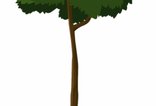 npressfetimg-502.png