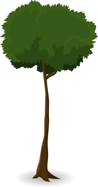 npressfetimg-502.png
