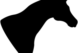 npressfetimg-522.png