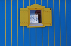 npressfetimg-565.png