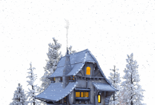 npressfetimg-607.png