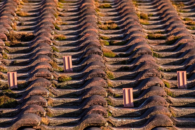 Steeline Shepparton: Expert Metal Roofing Solutions Unveiled