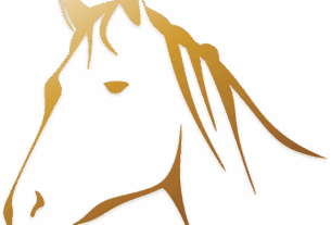 npressfetimg-893.png