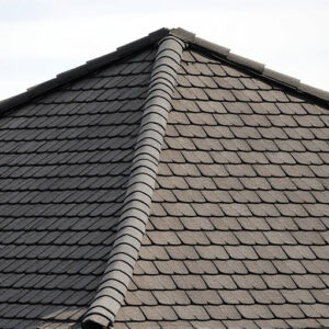 roof-640x480-40475819.jpeg