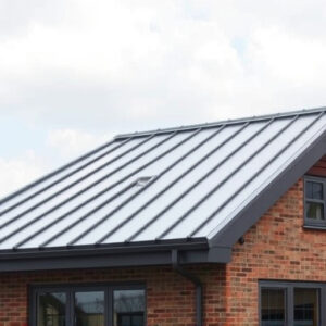roofing-steel-roofing-roof-house-roof-640x480-86232606.jpeg