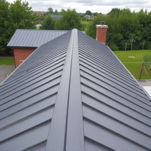 Steeline colorbond roofing