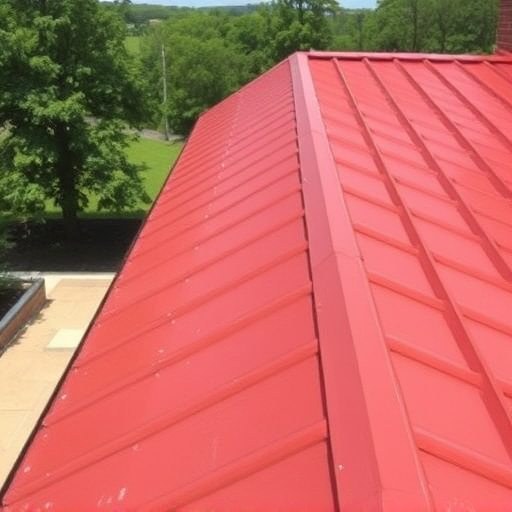 Steeline colorbond roofing