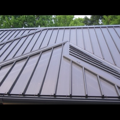 Steeline colorbond roofing