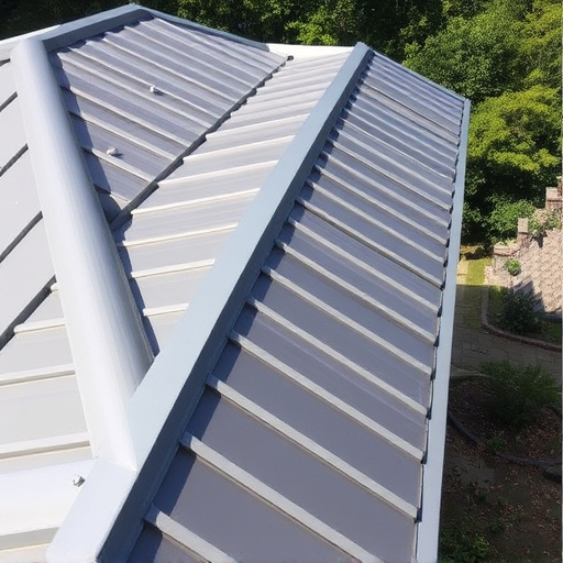Steeline colorbond roofing