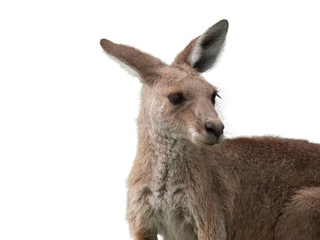 Australian locations