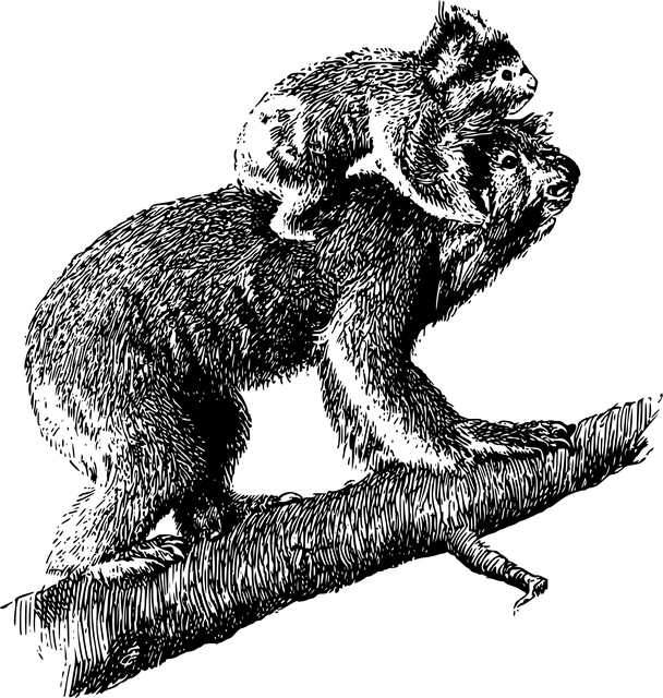 Australian locations