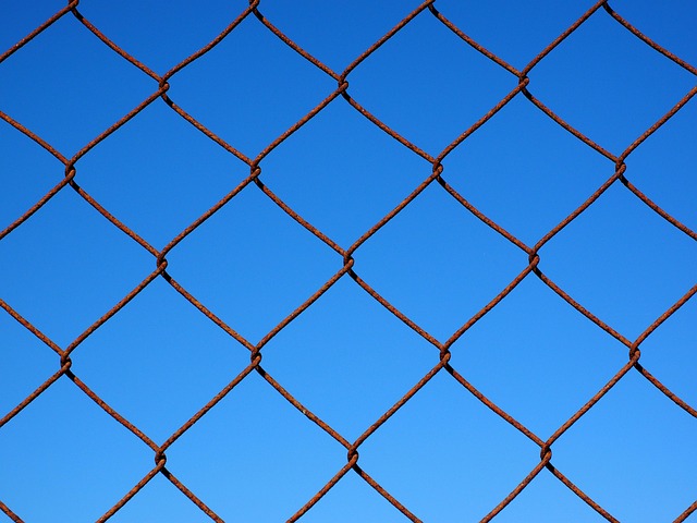 Backyard colorbond fences
