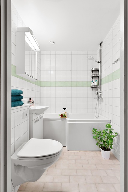bathroom supplies