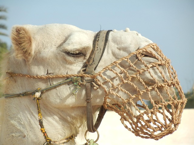 caravan accessories