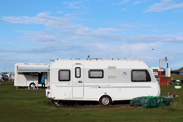 caravan servicing