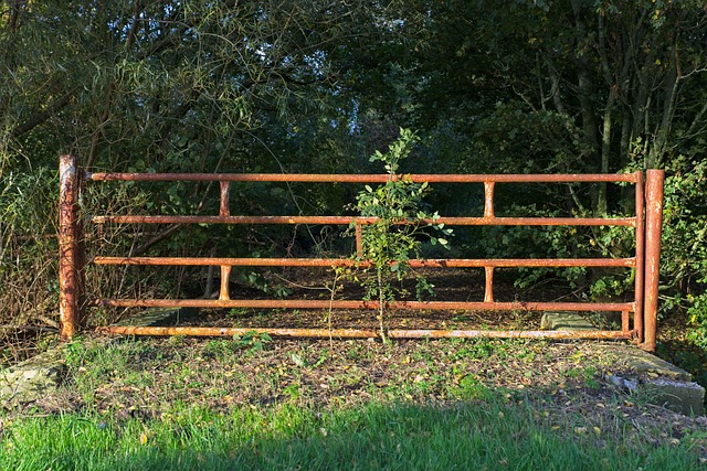 colorbond fencing