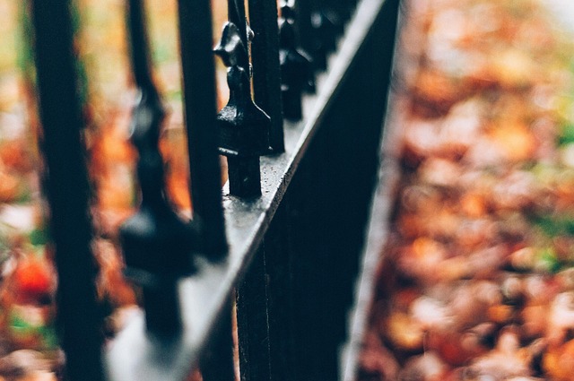 colorbond fencing