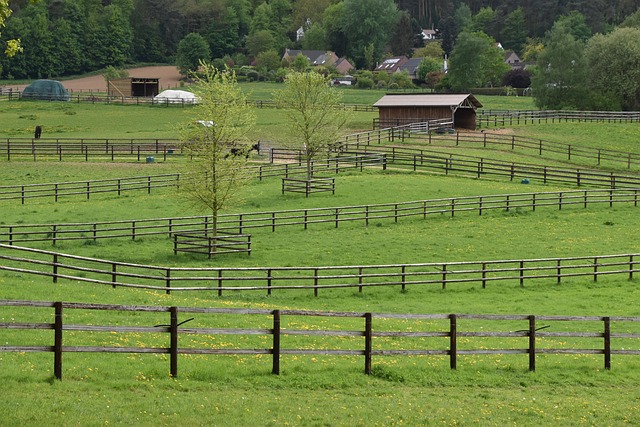 colorbond fencing