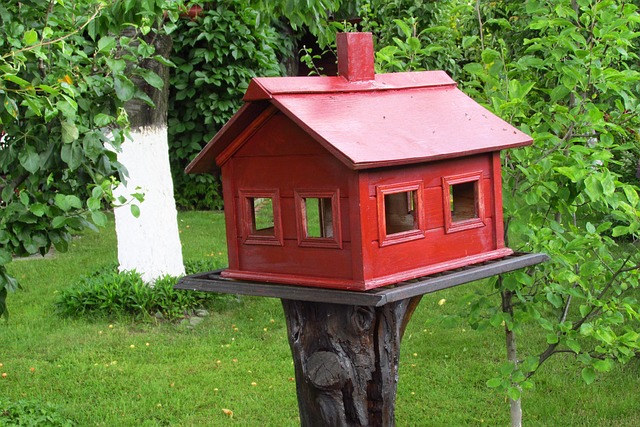 colorbond sheds