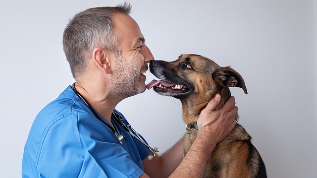 dog care