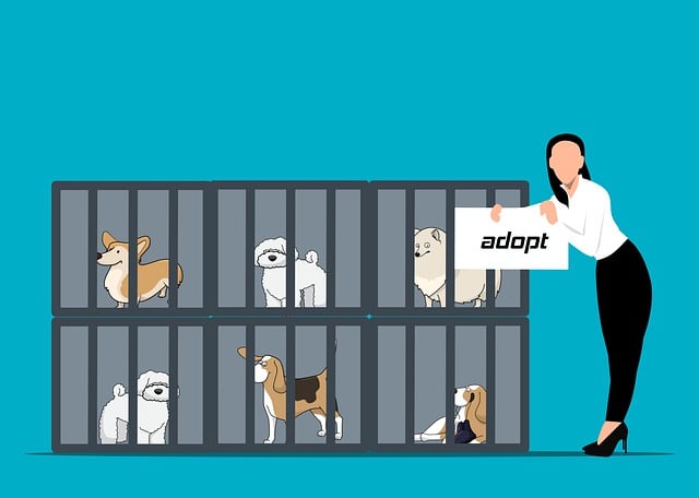 dog care