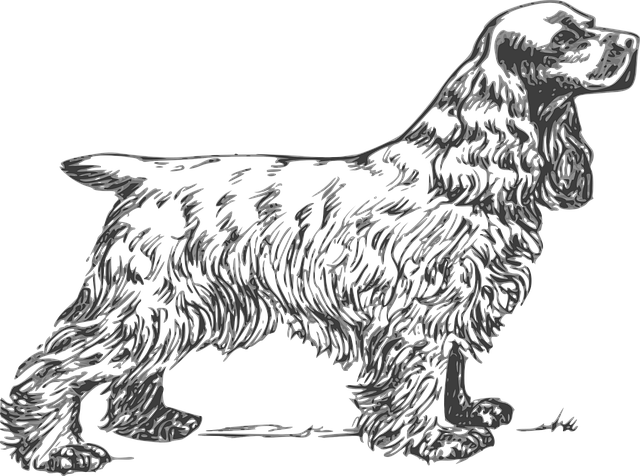 dog grooming