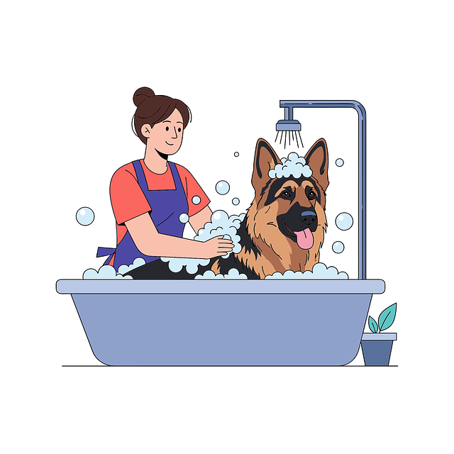dog grooming