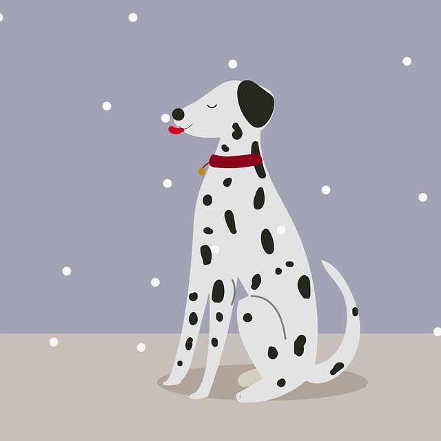 dog pet
