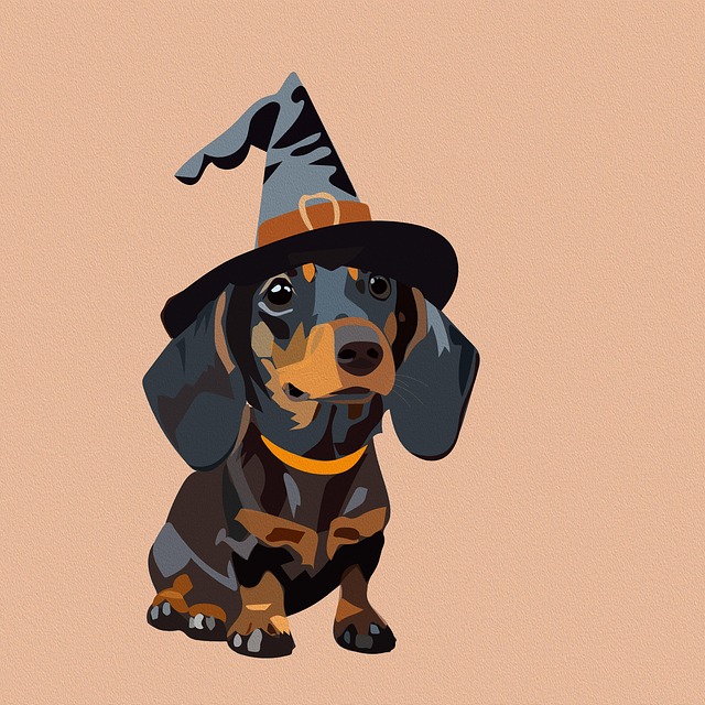 dog pet