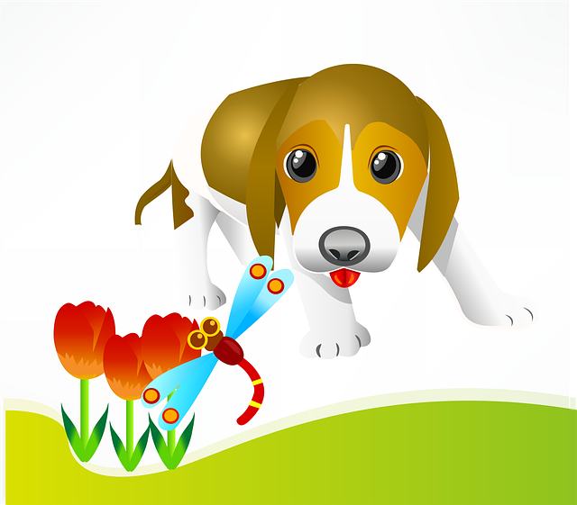 dog playing