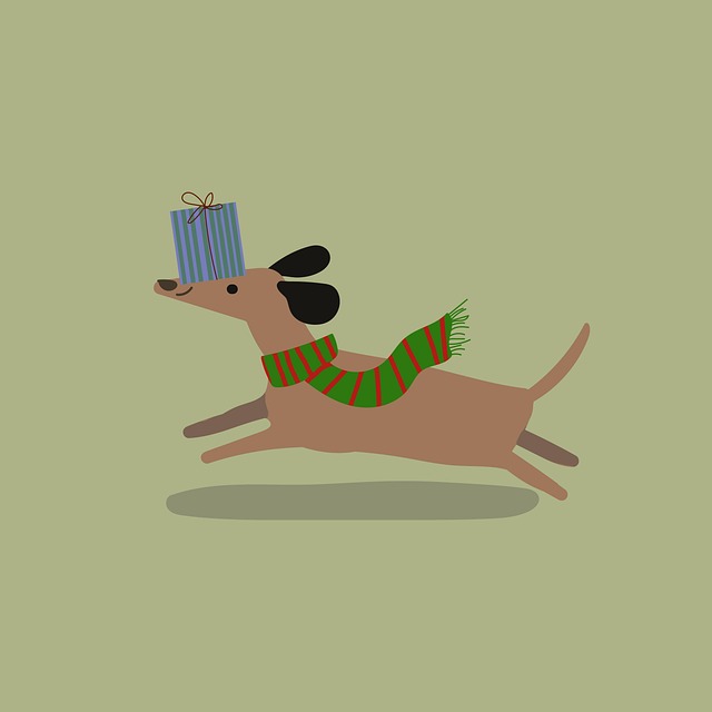 dog running