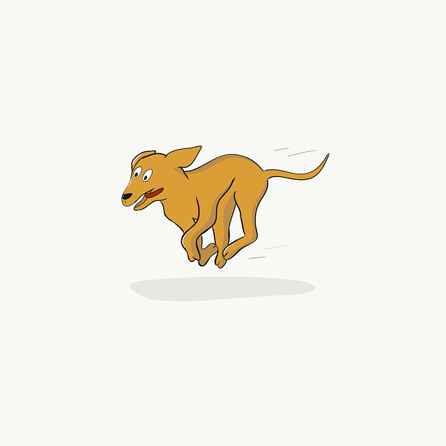 dog running