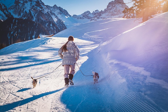 dog walking