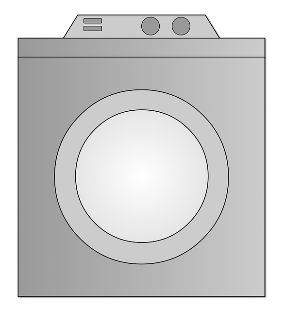 dog wash