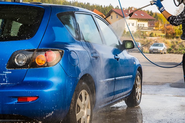 dog wash