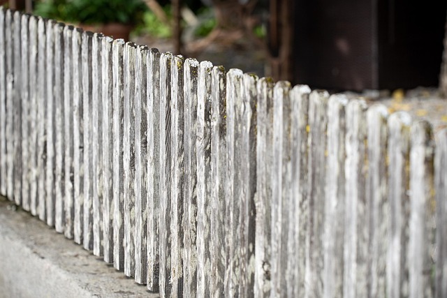 fence