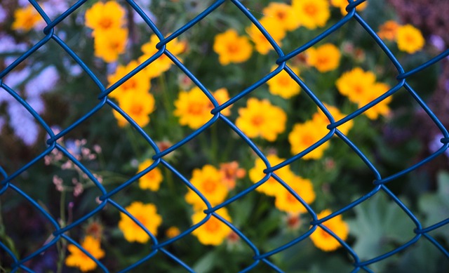 fence
