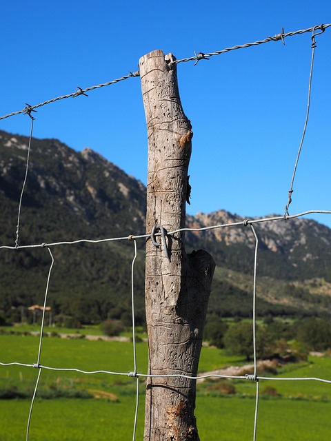 fence