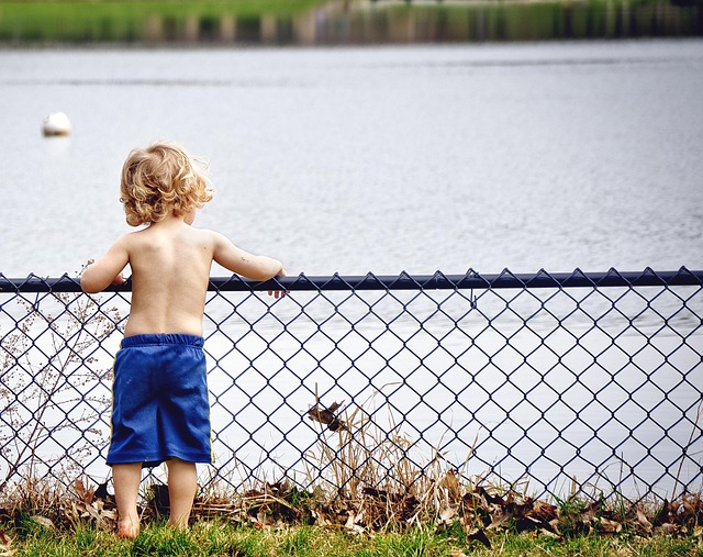fence
