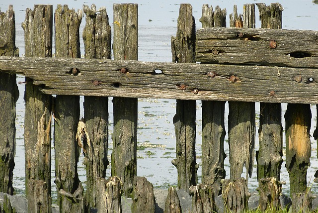fence